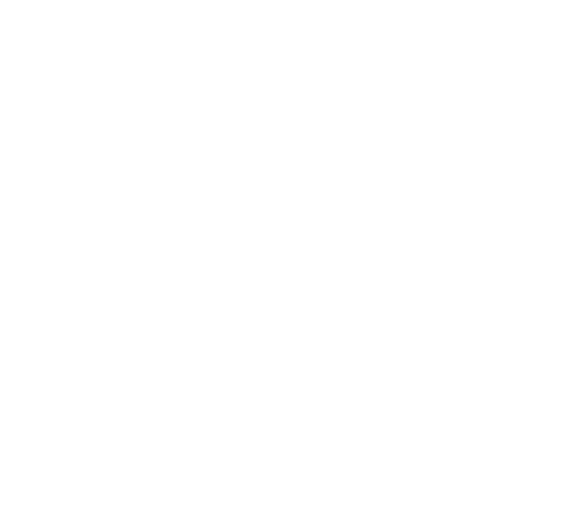 AMERICAN AIR SOLUTIONS LLC logo