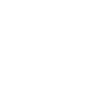 AMERICAN PROJECT SOLUTIONS, LLC logo