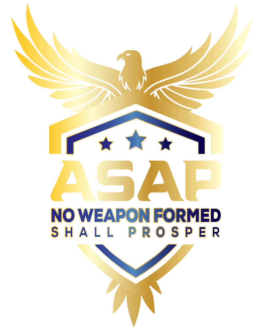 AMERICAN SERVICES & PROTECTION LLC logo