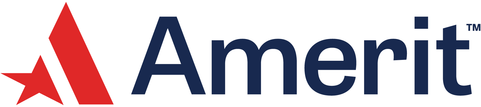 AMERIT CONSULTING INC logo