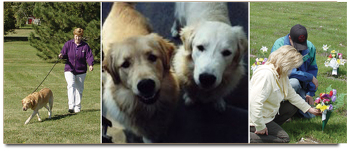AMICI PET SERVICES, INC logo