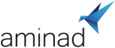 AMINAD CONSULTING LLC logo