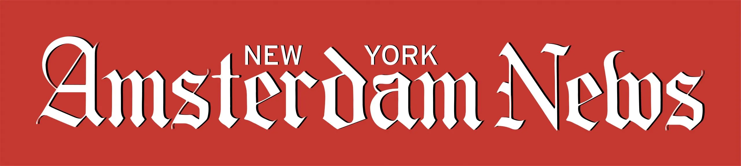 AMNEWS CORP logo