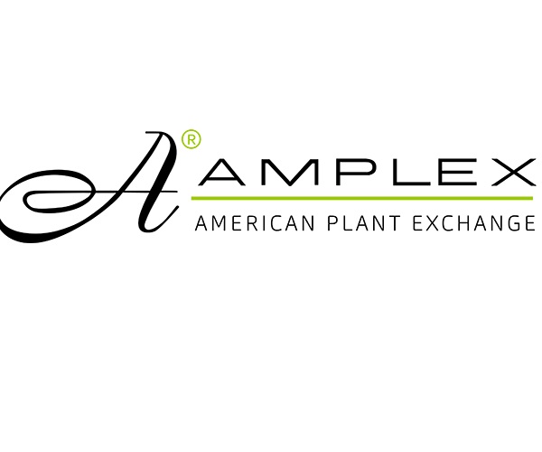 AMPLEX TAMPA, LLC logo