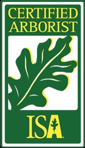 AMRO UNITED CORP logo