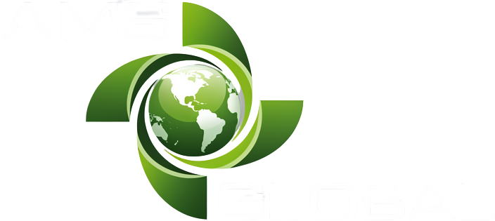 AMS GLOBAL INC logo