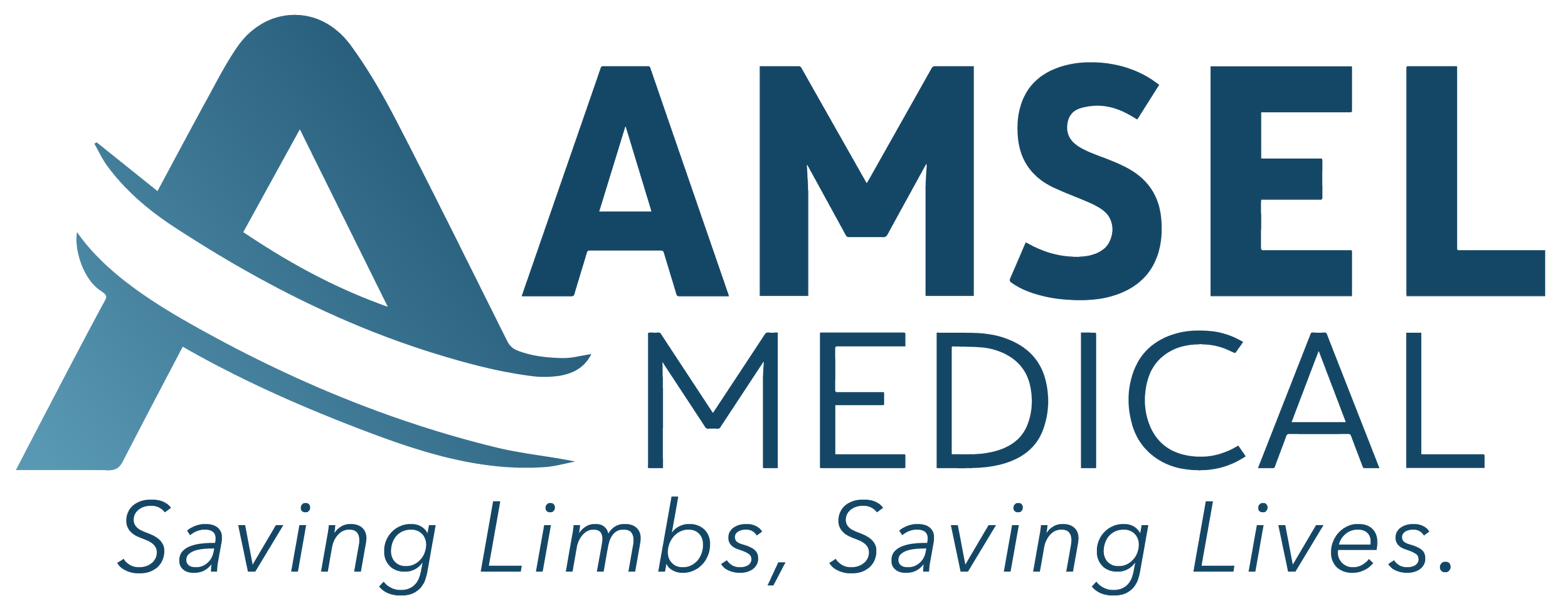 AMSEL MEDICAL CORPORATION logo