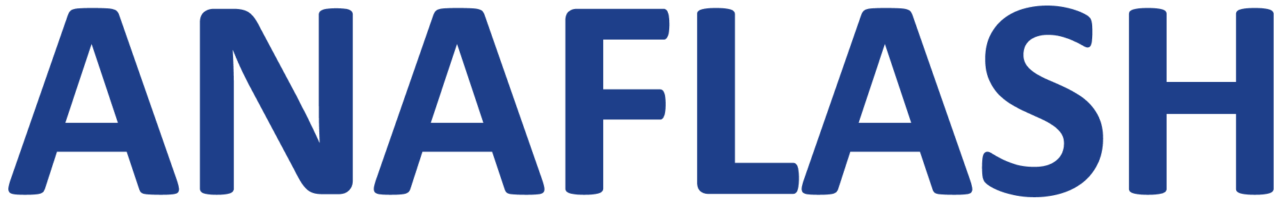 ANAFLASH INC. logo