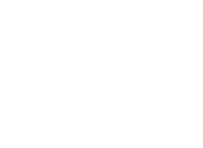 ANALOGIC ENGINEERING INC logo