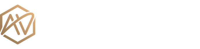 ANALYTIC VIZION INC logo