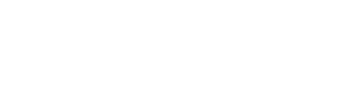 ANAREXUS LLC logo