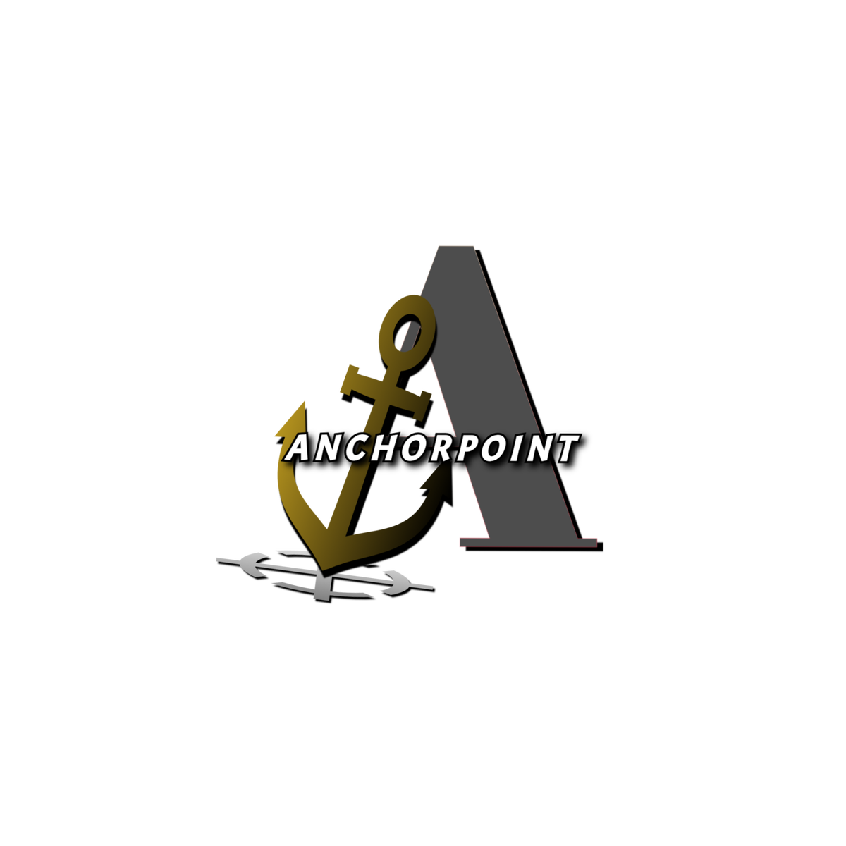 ANCHORPOINT SERVICES INC logo
