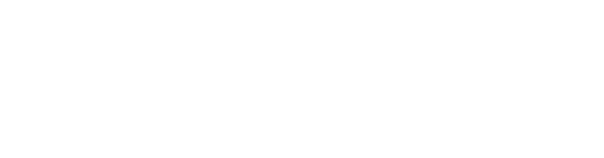 ANDES AG, INC. logo