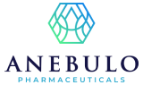 ANEBULO PHARMACEUTICALS INC logo