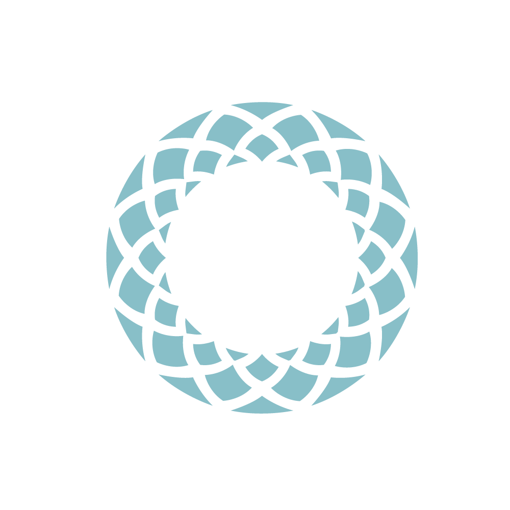 ANELLEO INC logo