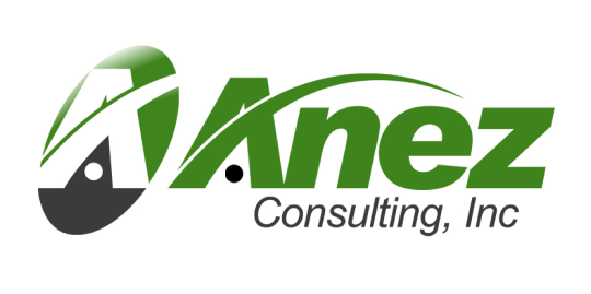 ANEZ CONSULTING, INC. logo