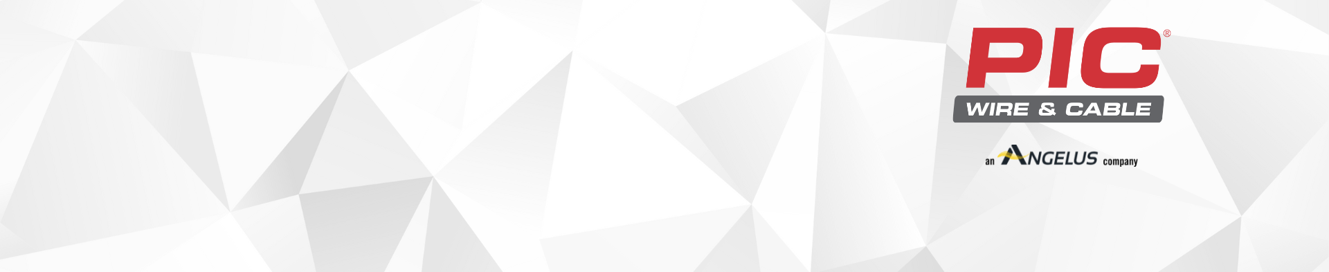 ANGELUS CORP, THE logo