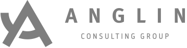 ANGLIN CONSULTING GROUP INC logo