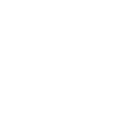 ANNA SNOW LLC logo