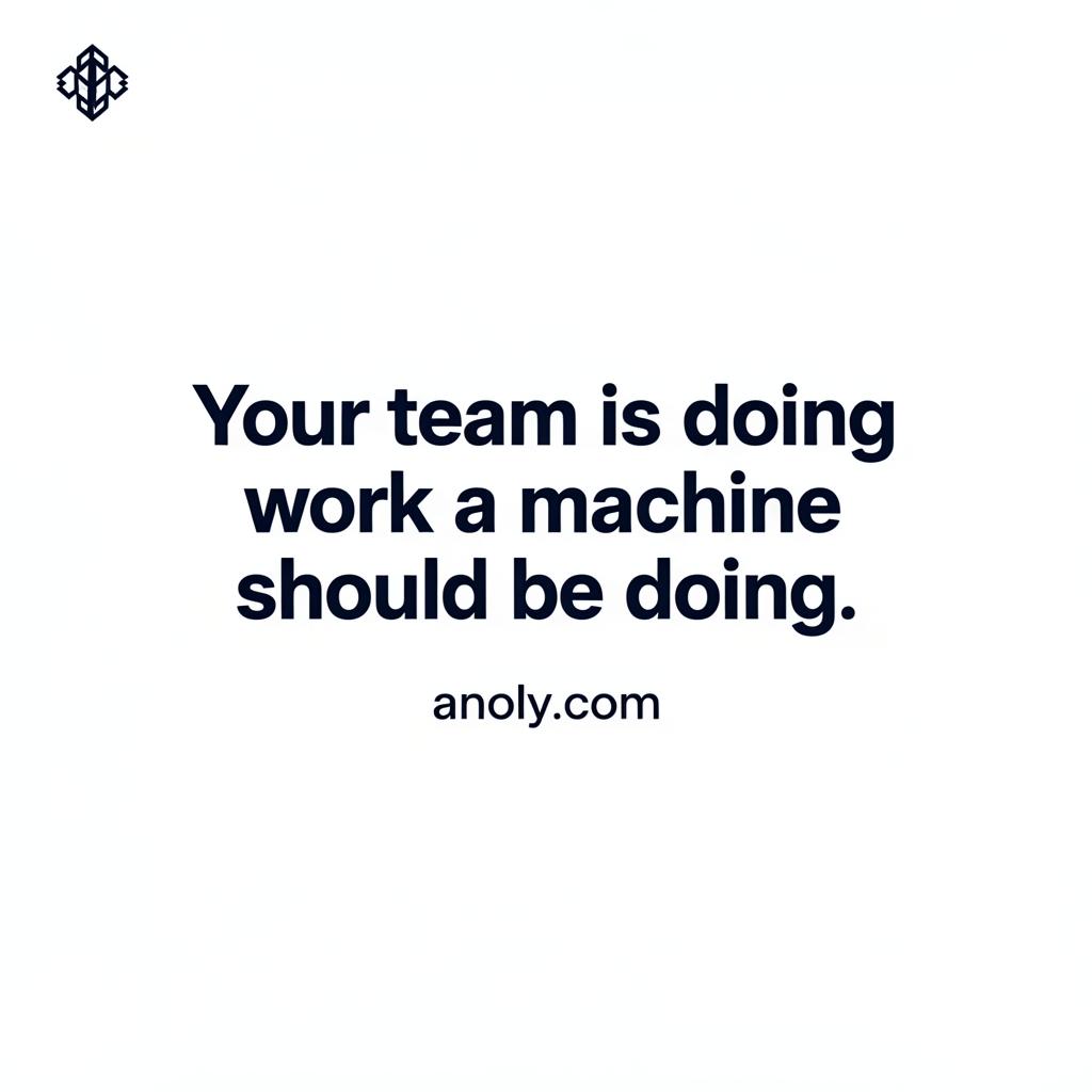 ANOLY LLC logo