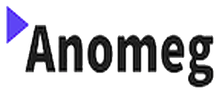 ANOMEG CONSULTING, LLC logo
