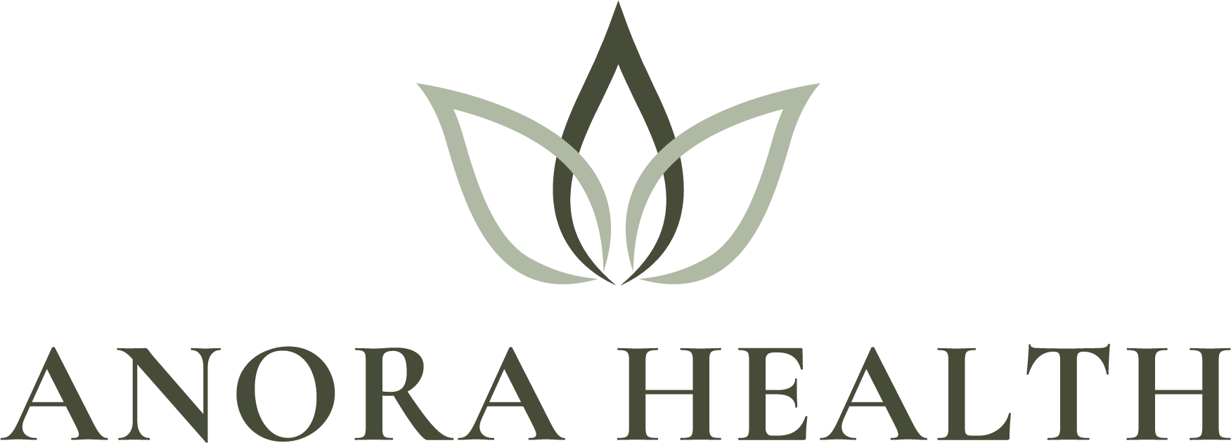 ANORA HEALTH CORP logo