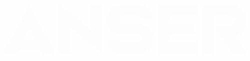 ANSER SOLUTIONS LLC logo
