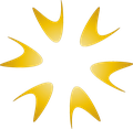 APAVO CORPORATION logo
