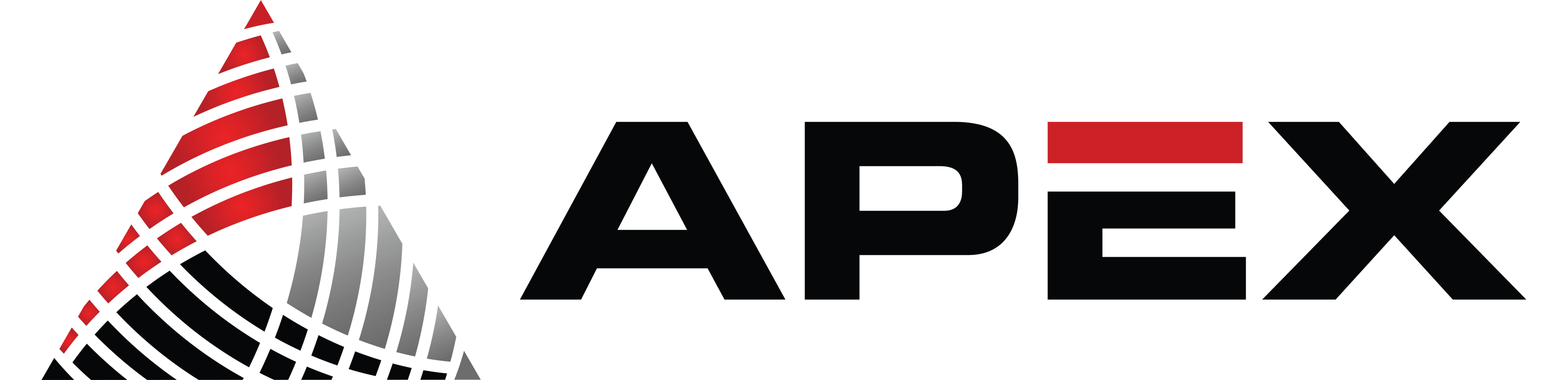 APEX COMPUTERS INC logo