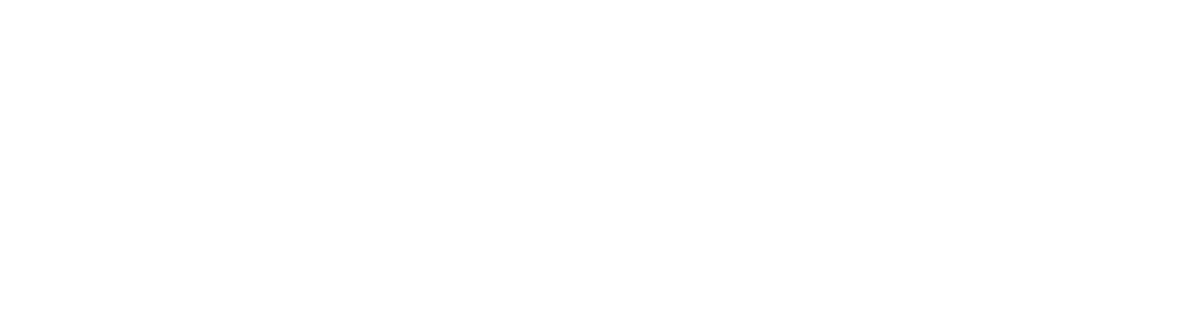 APEX PLACEMENT AND CONSULTING LLC logo