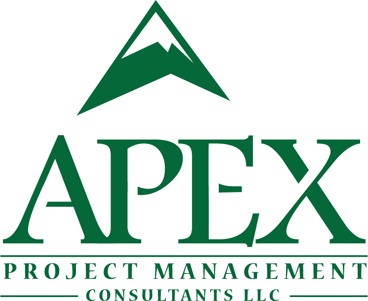 APEX PROJECT MANAGEMENT CONSULTANTS LLC logo