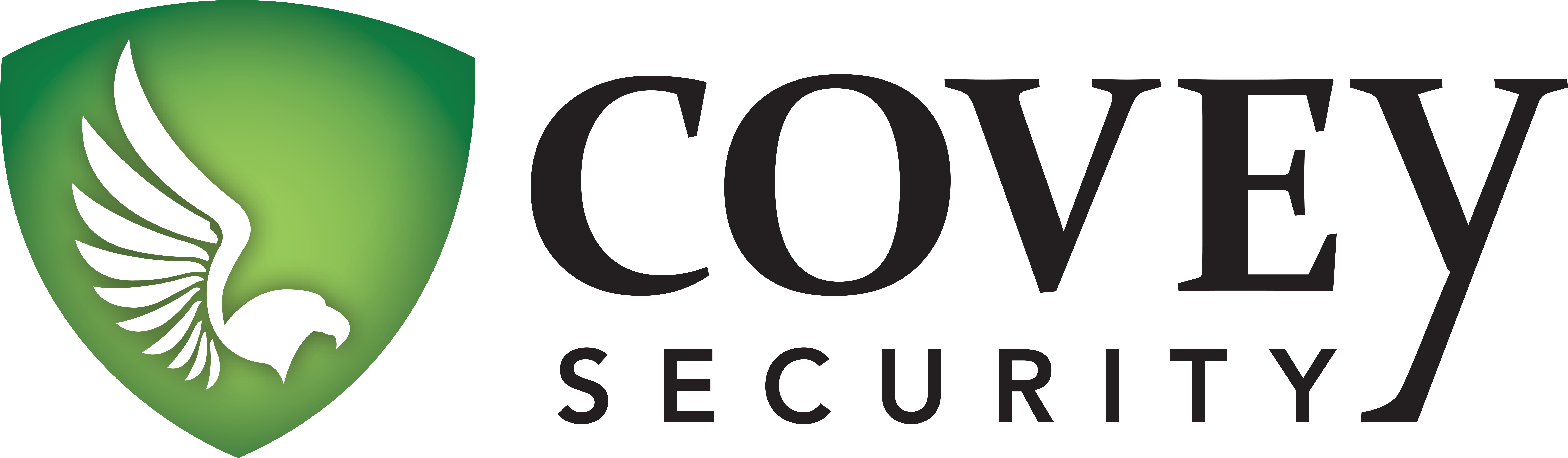 APG SOUTHWEST LLC logo