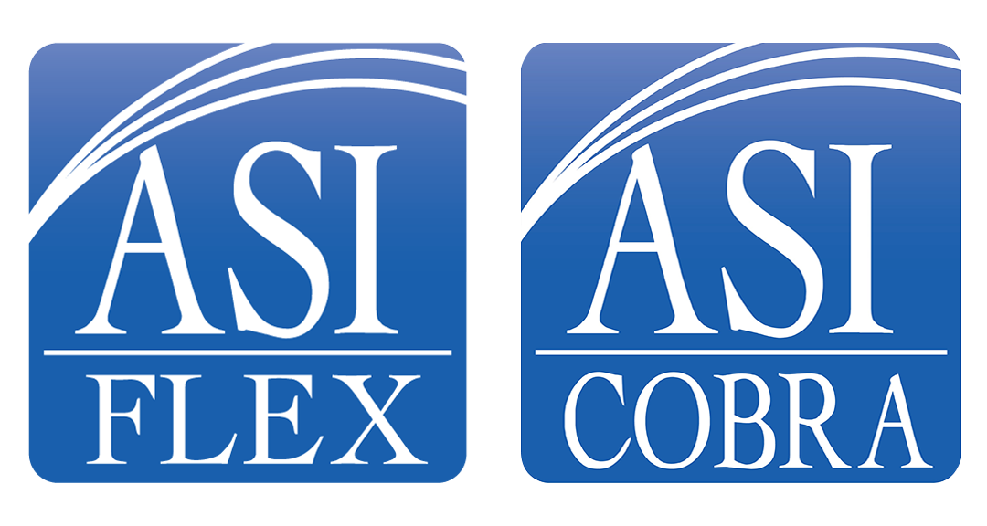 APPLICATION SOFTWARE, INC logo