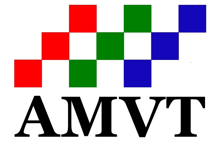 APPLIED MACHINE VISION TECHNOLOGIES LLC logo