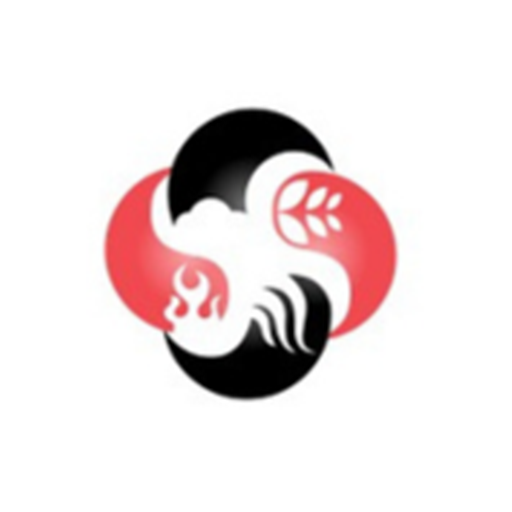APSIS SOLUTIONS INC logo