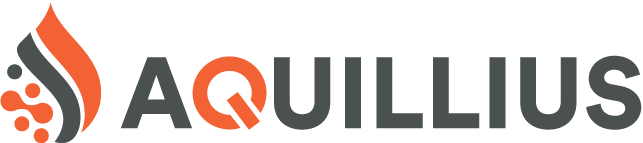 AQUILLIUS CORP logo