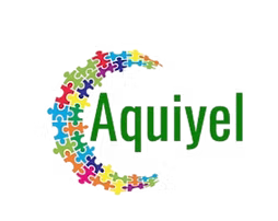 AQUIYEL BUSINESS SERVICES LLC logo