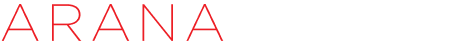 ARANA GROUP INC logo