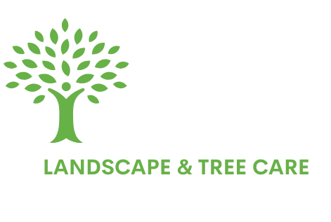 ARBORIA LANDSCAPE & TREE CARE CORP logo