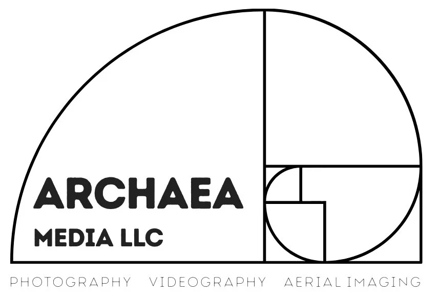 ARCHAEA MEDIA LLC logo