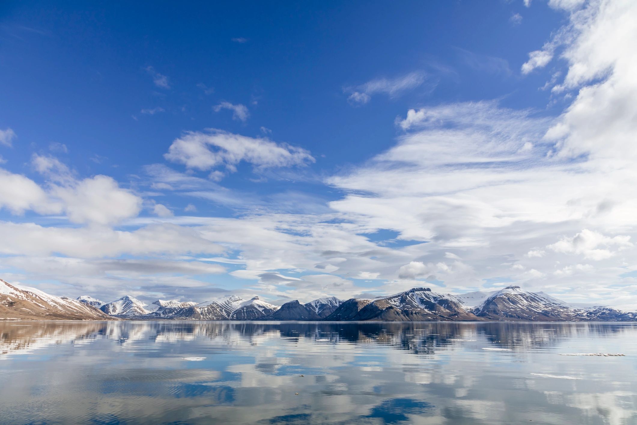 ARCTIC RESILIENCE LLC logo