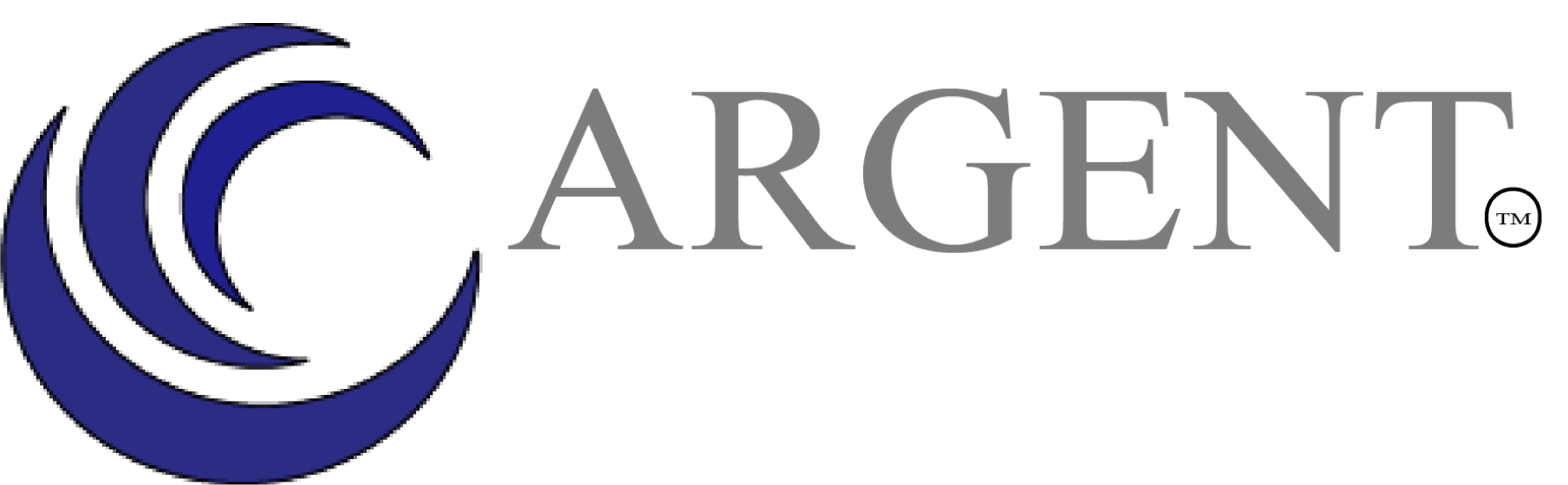 ARGENT WORLD SERVICES LLC logo