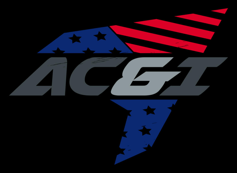 ARIES CONSULTING & INTEGRATION LLC logo