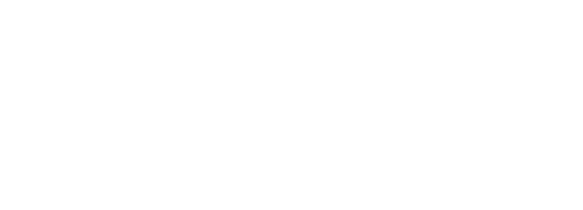 ARMSTRONG PAIGE INC logo