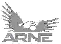 ARNE AVIATION LLC logo