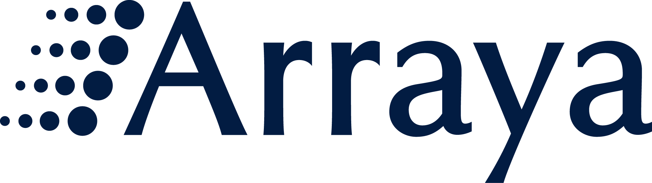 ARRAYA SOLUTIONS INC logo