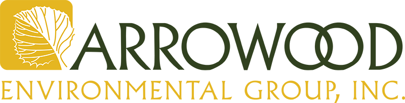 ARROWOOD ENVIRONMENT GROUP INC logo