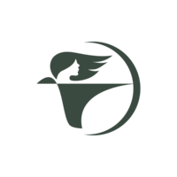 ARTEMIS CONSULTING COLLECTIVE INC. logo