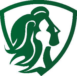 ARTEMIS FEDERAL LLC logo