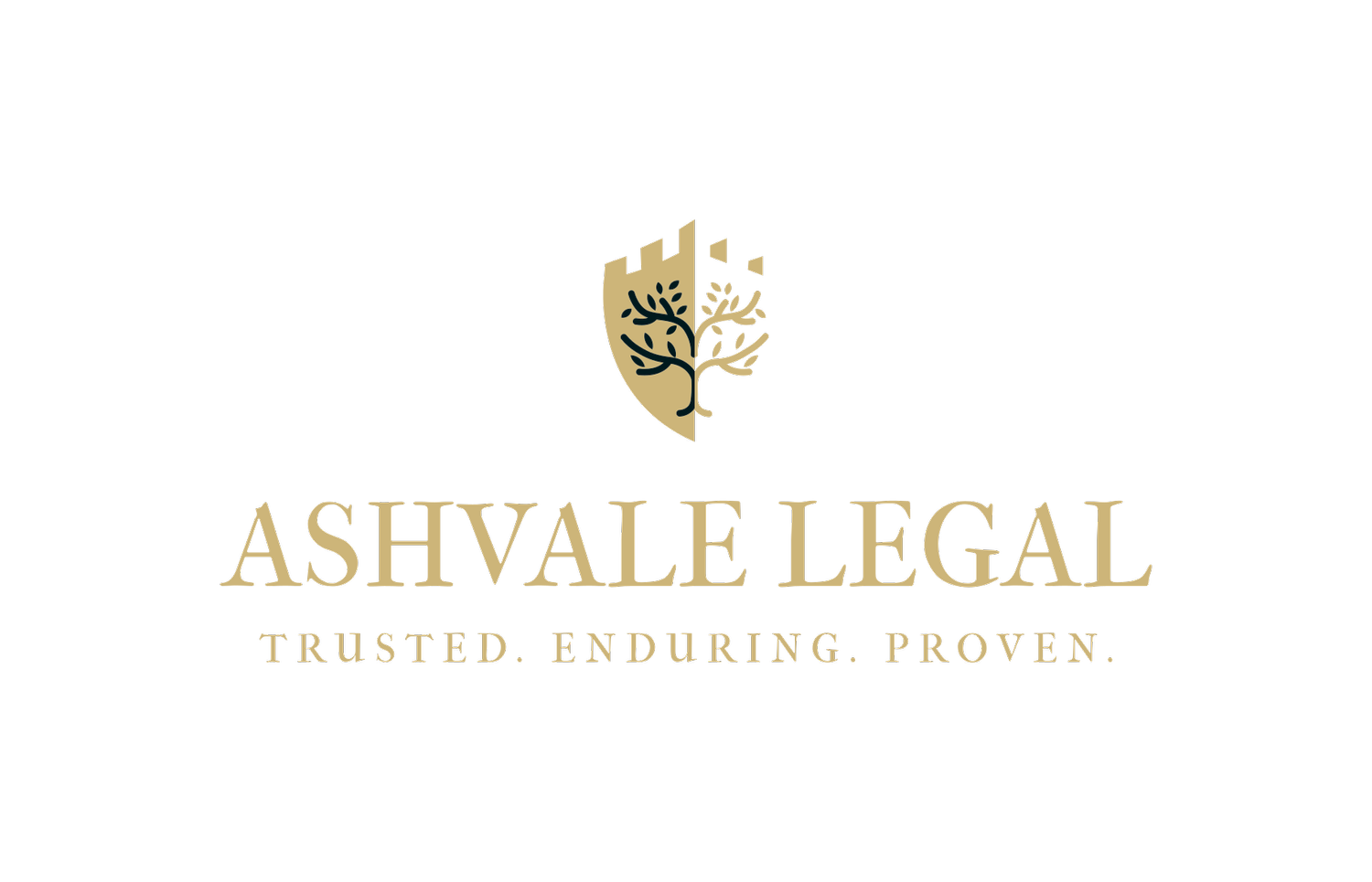 ASHVALE LEGAL, PLLC logo
